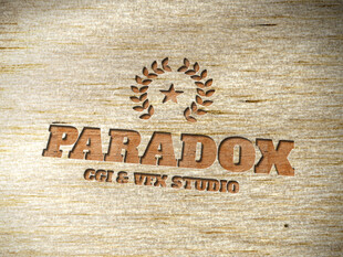 Paradox创意工作室标志