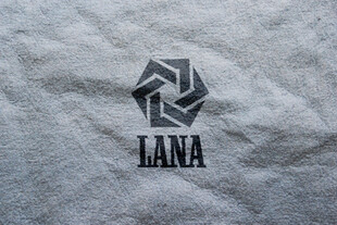 灰色布料上的LANA标志