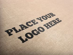 logo放置效果展示