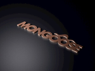 金属质感的MONGOOSE字样