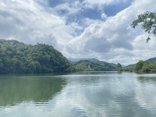 绿水青山
