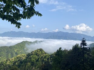 山间云海美景