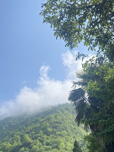 青山绿树间的蓝天白云