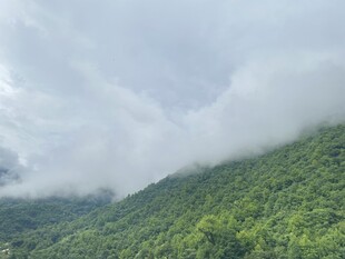 云雾缭绕的翠绿山峦