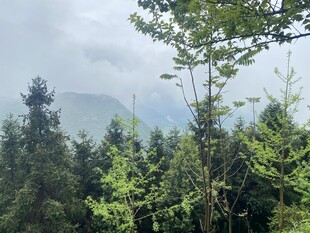 远山