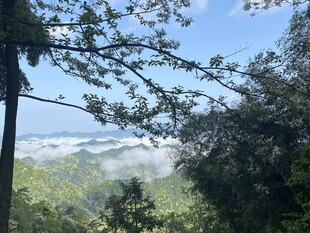 山间云雾缭绕的秀丽景致