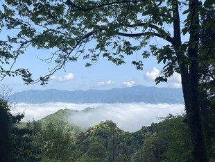 山林云海间的清新景致