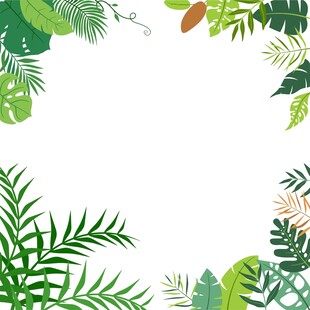 热带植物边框