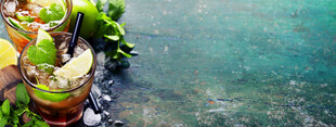 海边多彩绿植与清澈海水