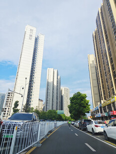 城市道路旁的高楼风景
