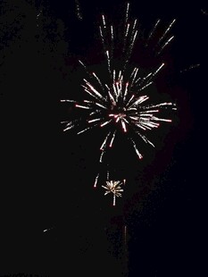 夜空中绚烂绽放的烟花