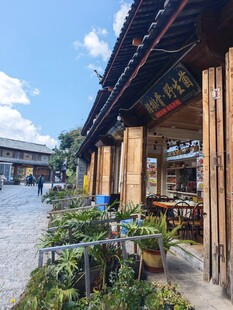 古街店铺外的绿植景致