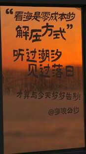 聆听潮汐 独特的解压方式