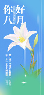 清新百合插画八月你好