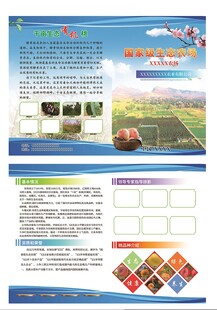 农业科技宣传页展示