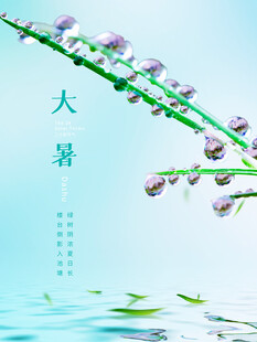 大暑时节枝头鸟儿图