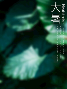 大暑时节的绿意盎然