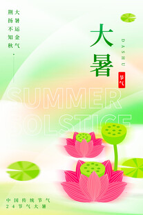大暑时节荷花绽放