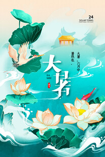 大暑时节荷塘美景