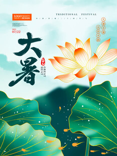 大暑时节荷花绽放图景