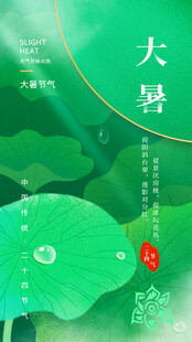 大暑时节荷叶露珠美景
