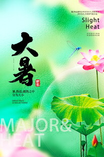 大暑时节荷花绽放景象