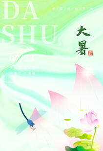 大暑时节荷花蜻蜓美景