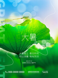 大暑时节荷叶清新画面