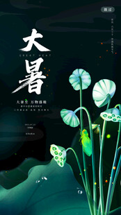 大暑时节荷花绽放