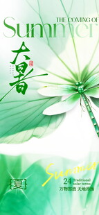 清新大暑节气主题插画