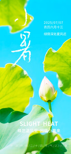 夏日荷花绽放美景