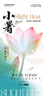 小暑时节的美丽荷花