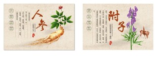传统中药材图案装饰画