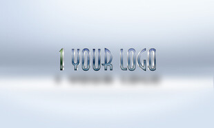 简约风LOGO展示样机