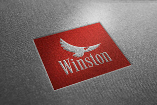Winston品牌标志展示