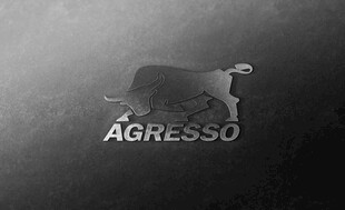 优雅Agresso品牌皮具展示