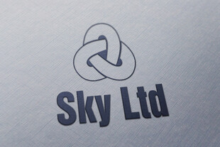 Sky Ltd公司标志设计