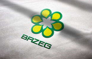 BRZEZEG品牌标志图案