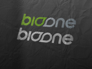 BigOne品牌标识展示