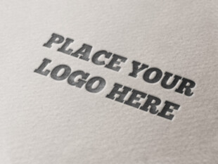 logo展示样机