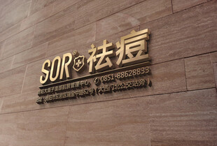 SUR祛痘品牌标识展示