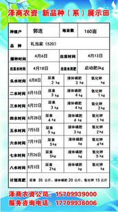 泽商农资表格