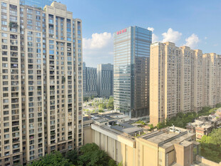 城市高楼景观