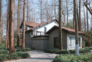 林间小屋静谧景致