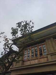 窑湖小镇