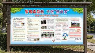 毒蘑菇宣传栏