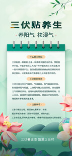 三伏贴养生指南