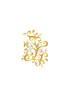 花纹