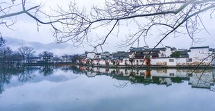 江南水乡湖畔静谧景致