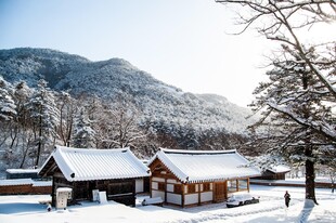 雪覆木屋山林冬日美景